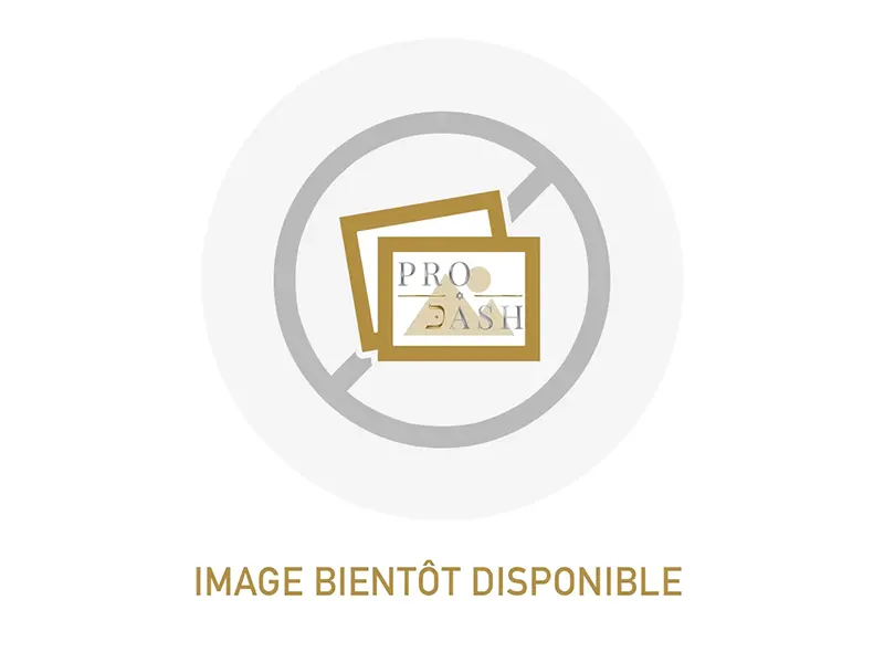 Grandes assiettes — lot de 10 — photo bientôt disponible